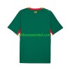 Senegal Voetbalshirts Uit 2026 2027